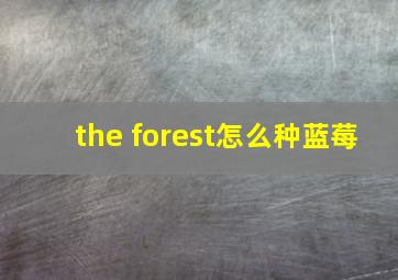 the forest怎么种蓝莓